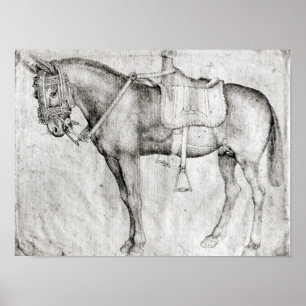 Mule, from the Vallardi Album Poster