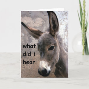 MULE-ISH OVER THE HILL ADULT TWIN'S BIRTHDAY HUMOR CARD