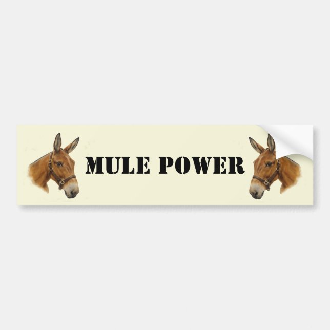 Mule Power Bumper Sticker (Front)