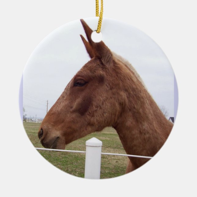 Mule Time Ornament (Front)