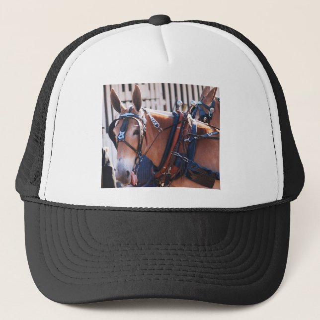 mules and donkeys 026 trucker hat (Front)