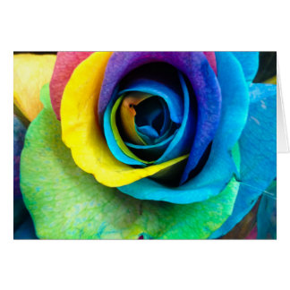 Mulit-Coloured Rose by SnapDaddy, can Personalise!