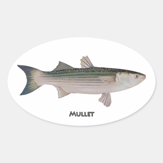 Mullet Fish Oval Sticker (Front)