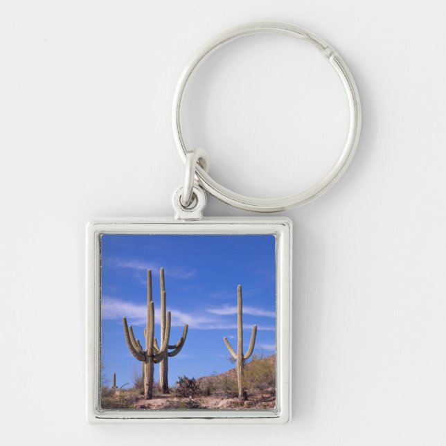 Multi armed Giant Saguaro cactus, Saguaro Key Ring (Front)