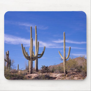 Multi armed Giant Saguaro cactus, Saguaro Mouse Pad