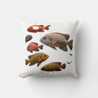 multi colour fishes cushion