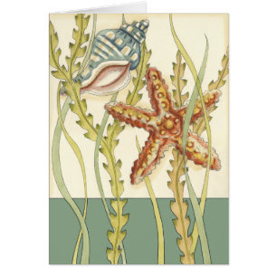 Multi-Colour Shell Party