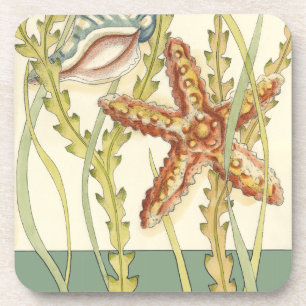 Multi-Colour Shell Party Coaster