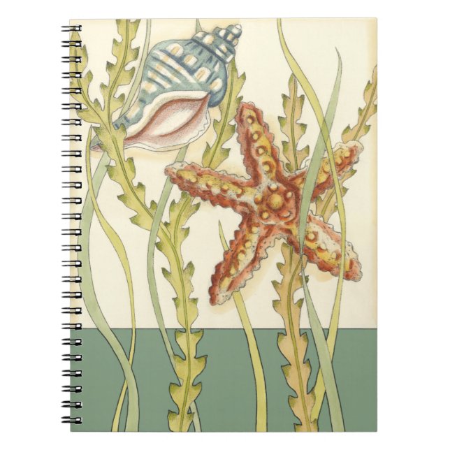 Multi-Colour Shell Party Notebook (Front)
