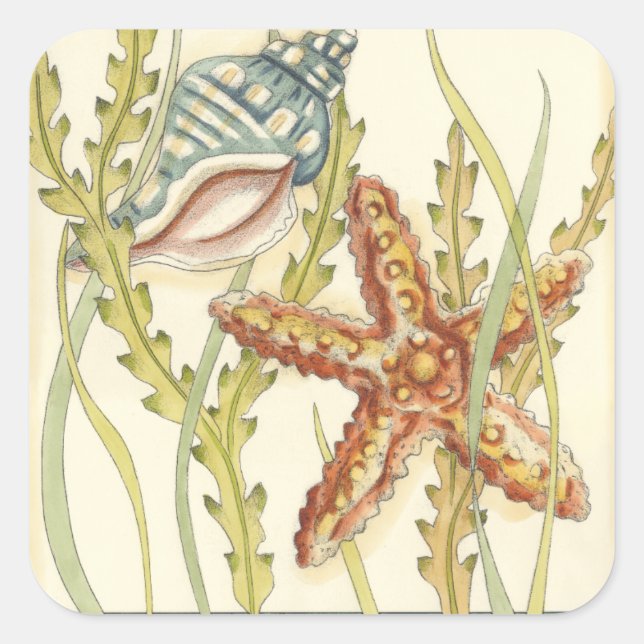 Multi-Colour Shell Party Square Sticker (Front)