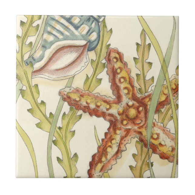 Multi-Colour Shell Party Tile (Front)