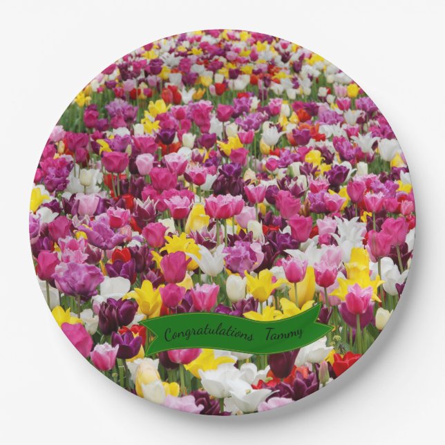 Multi Colour Tulips Paper Plates (Front)