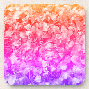 Multi Colour Wild Flowers Coaster