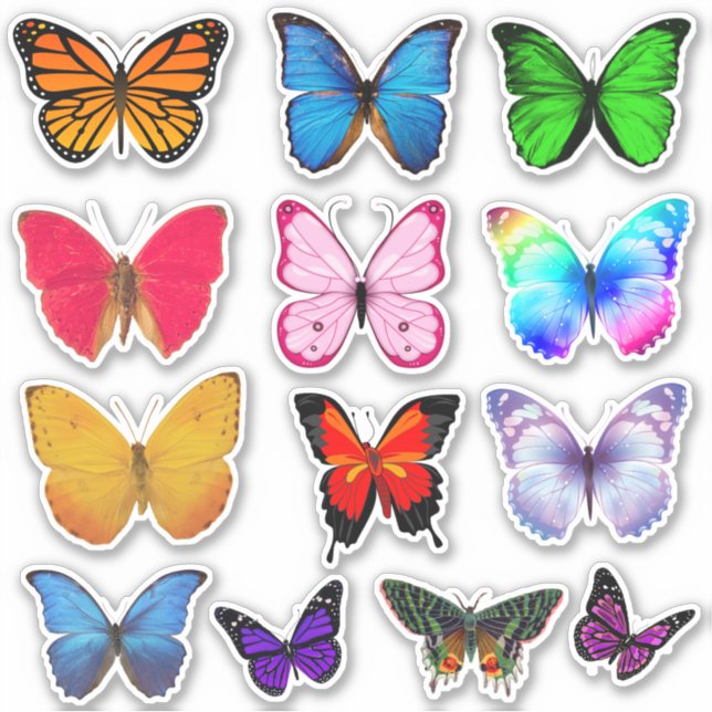 Multi-Coloured Butterfly Stickers  (Front)