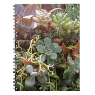Multi-coloured-Cacti Notebook