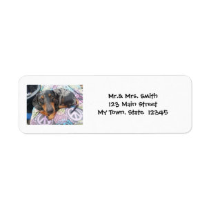 Multi Coloured Dachshund Dog Dapple Return Address Label