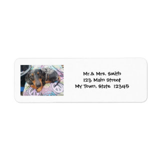 Multi Coloured Dachshund Dog Dapple Return Address Label