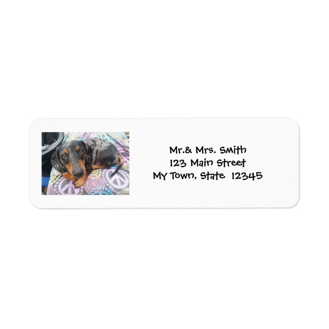 Multi Coloured Dachshund Dog Dapple Return Address Label (Front)