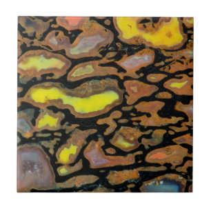 Multi Coloured Dinosaur Bone Ceramic Tile