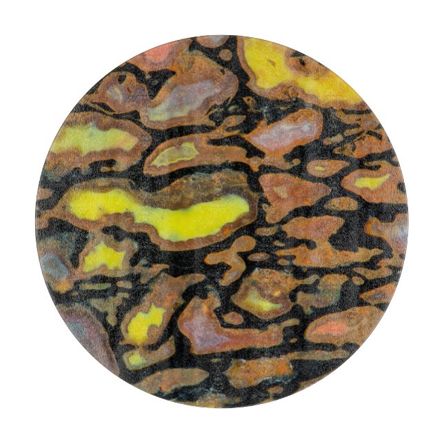 Multi Coloured Dinosaur Bone Cutting Board (Front)