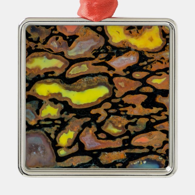 Multi Coloured Dinosaur Bone Metal Ornament (Front)