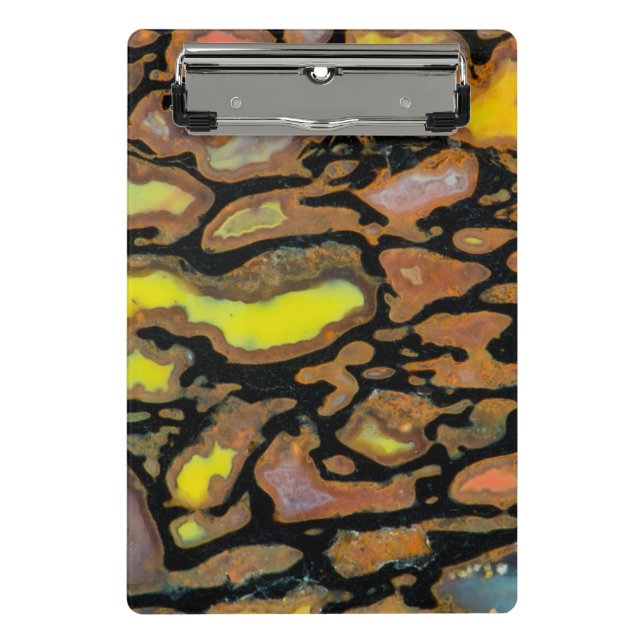 Multi Coloured Dinosaur Bone Mini Clipboard (Front)