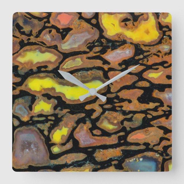 Multi Coloured Dinosaur Bone Square Wall Clock (Front)
