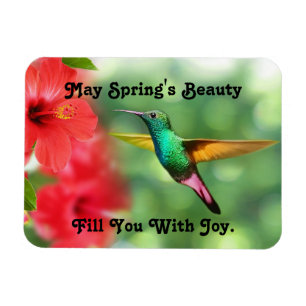 Multi Coloured Hummingbird Photo Magnet