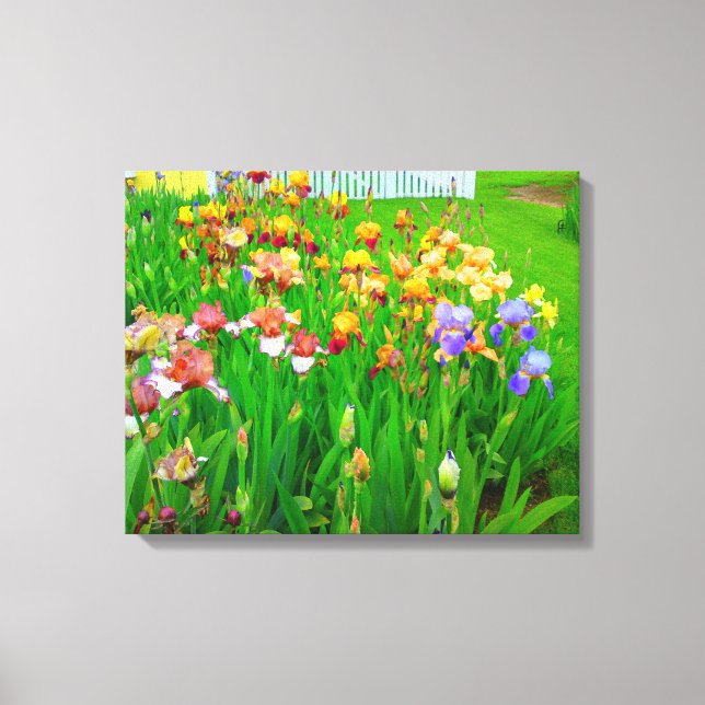 Multi Coloured Iris Flower Patch Canvas Print (Front)