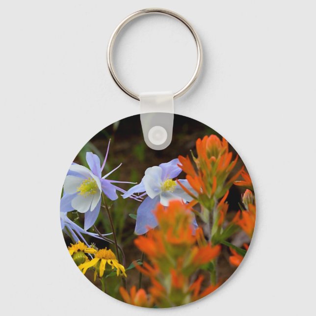 Multi-coloured Key Ring (Front)