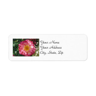 Multi-Coloured Rose Return Address Label