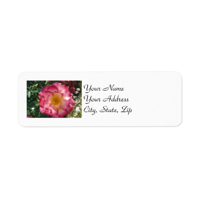 Multi-Coloured Rose Return Address Label (Front)