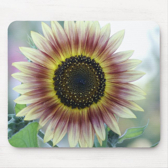 Multi-coloured Sunflower Mouse Pad (Front)