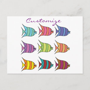 Multi-coloured Tropical Fish Thunder_Cove Postcard