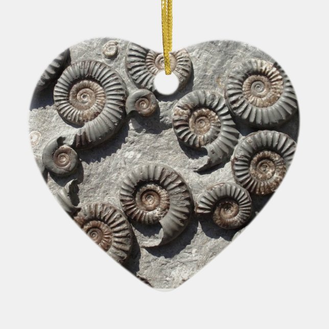 Multi fossil ammonites from the Lower Lias Ceramic Ornament (Front)
