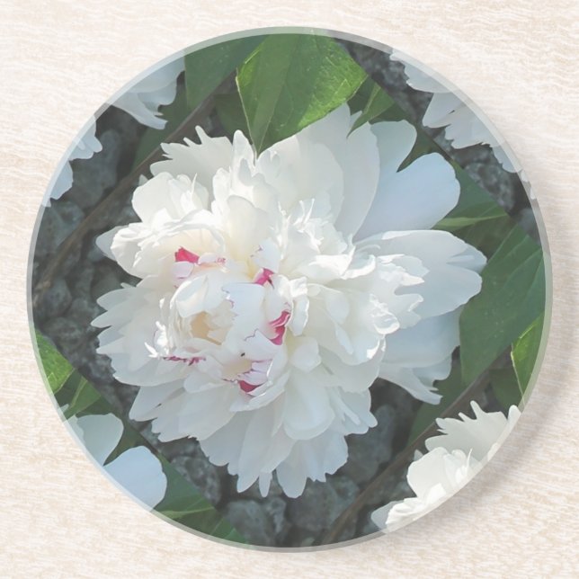 Multi Precious Peony Coaster (Front)