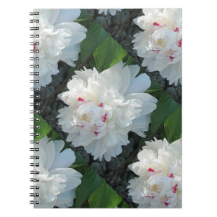 Multi Precious Peony Notebook