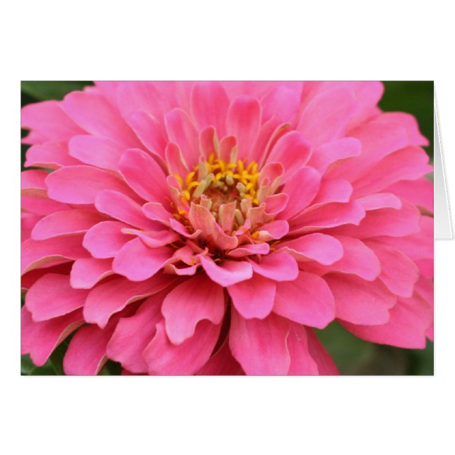 Multi-purpose pink flower card (Front Horizontal)