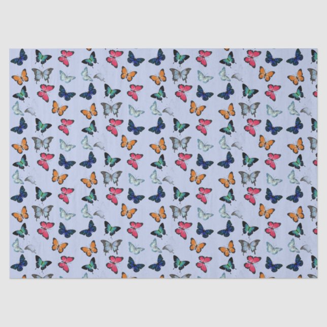 Multicolor Butterfly with Custom Background Colour Tissue Paper (Front)