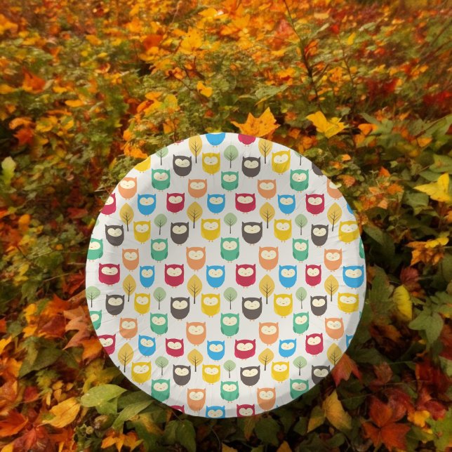 Multicolor Cartoon Owl Paper Plate (owl cartoon theme,birthday,wedding,baby shower,special occasion event paper plate party supplies)