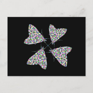 Multicolor Moth Art Postcard