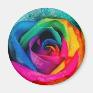 Multicolor rose magnet