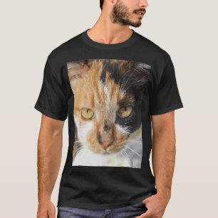 Multicolored Colourful Calico Cat Photograph Portr T-Shirt