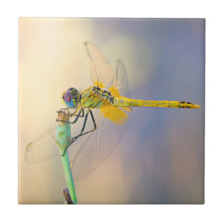 Multicolored Dragonfly Tile