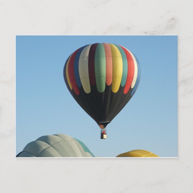 Multicolored hot air balloons postcard (Front)
