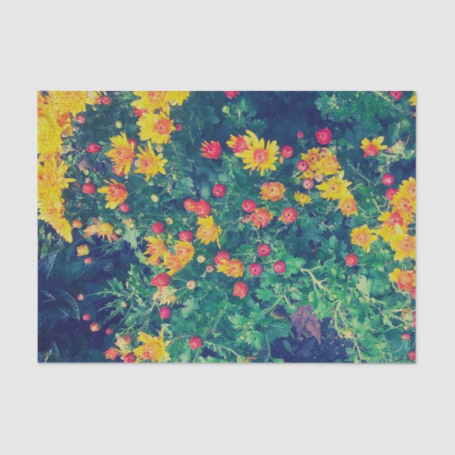 Multicolored meadow whimsical wild daisy flowers tissue paper (Front)