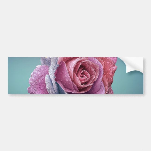 Multicolored Rose Bumper Sticker (Front)