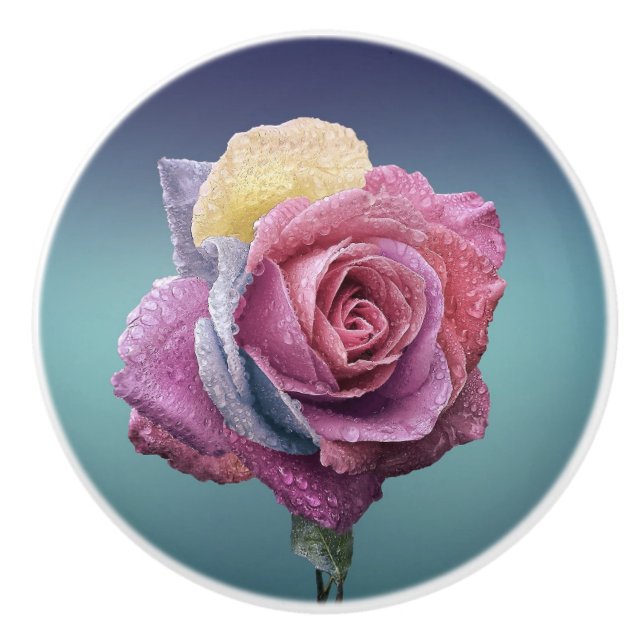Multicolored Rose Ceramic Knob (Front)