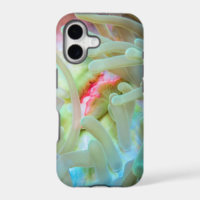 Multicolored Sea Anemone