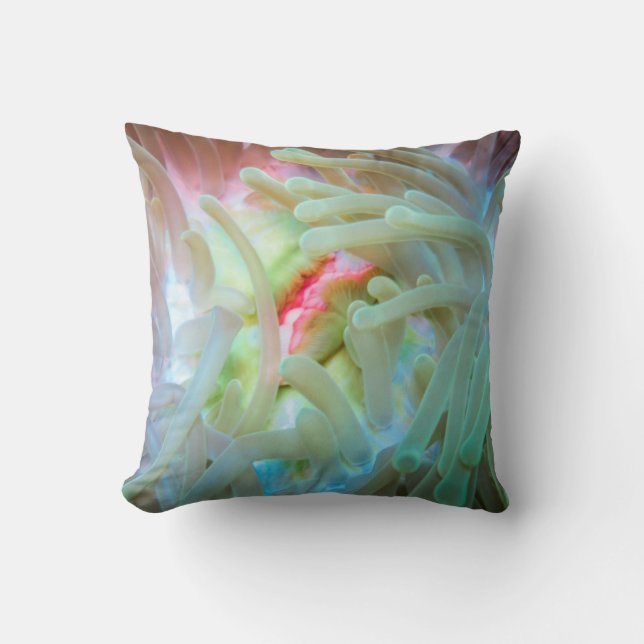 Multicolored Sea Anemone Cushion (Front)